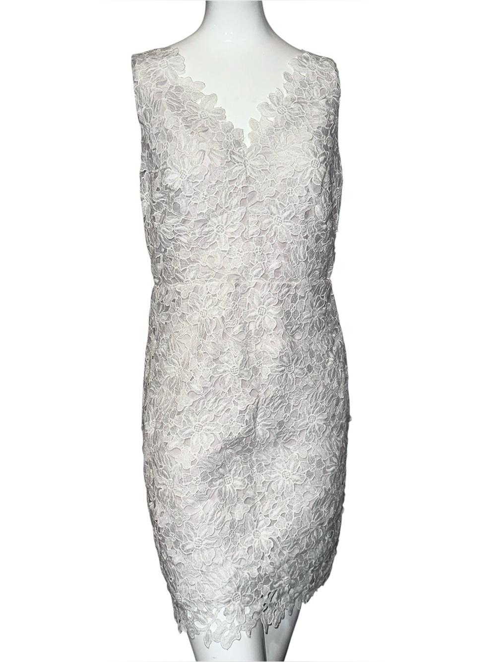 Loft Lace Dress